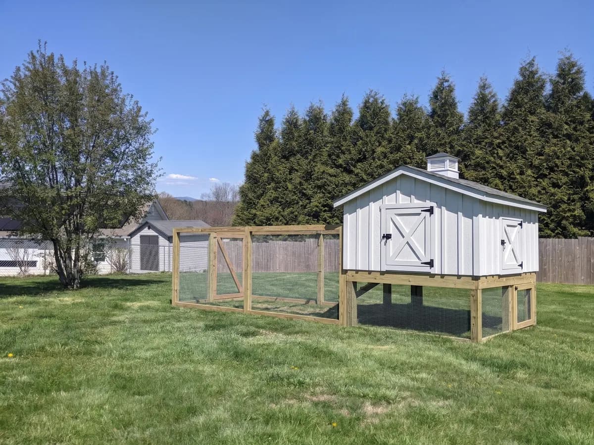 Large stilt coop, Farmhouse style in a backyard (representative image)
